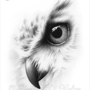 Meet your Posher, Jess